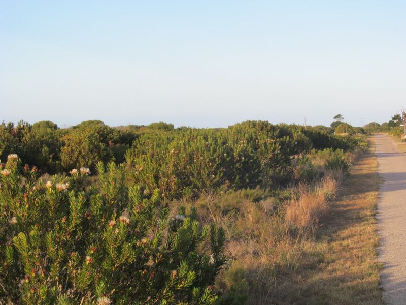 Best views of Golf Estate  - Photo 7