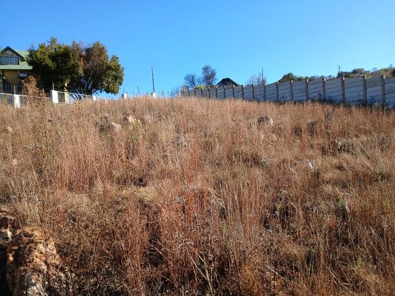 PRIME RIVER & COUNTRY VIEW SITE!! - Photo 3