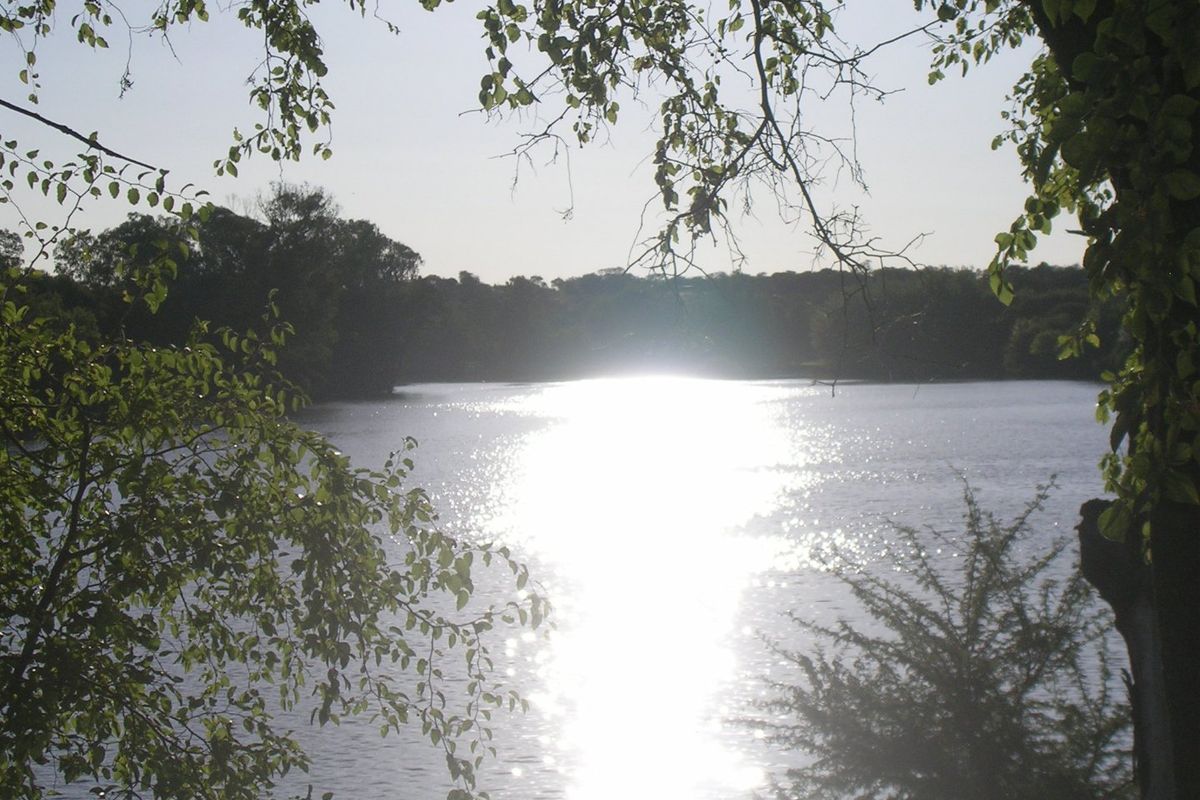 A scenic view of a tranquil lake framed by natural foliage, highlighting the peaceful landscape and water frontage of the property.
