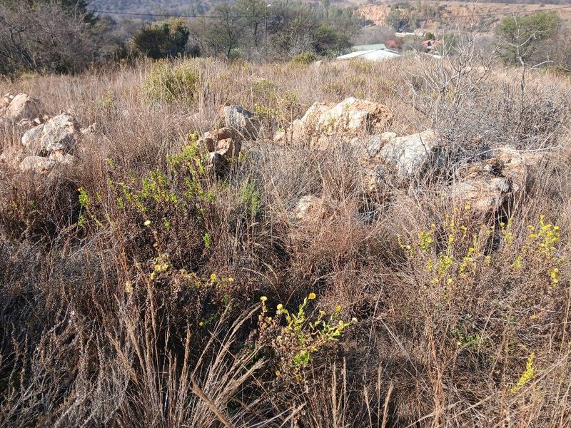 PRIME RIVER AND COUNTRY VIEW STAND - Photo 3