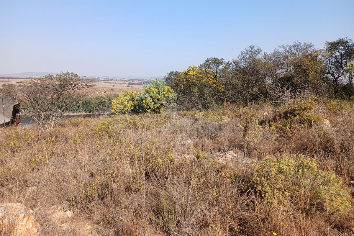A view of the vacant residential land featuring natural vegetation, indigenous trees, and a distant landscape horizon.