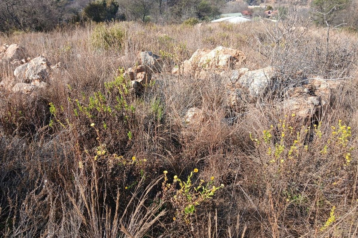 A view of the natural, undeveloped residential land featuring rocky outcrops and indigenous vegetation, suitable for future construction.