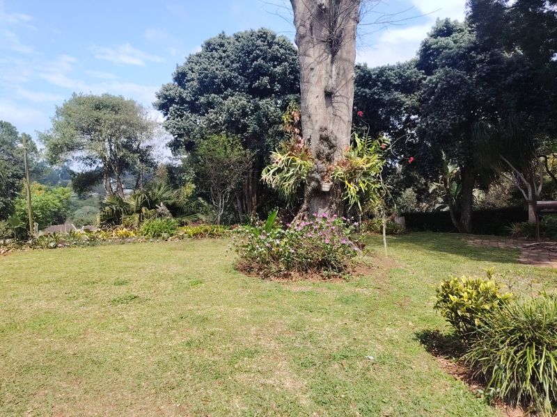 A well-maintained garden area featuring mature trees and established landscaping, providing a peaceful outdoor space.