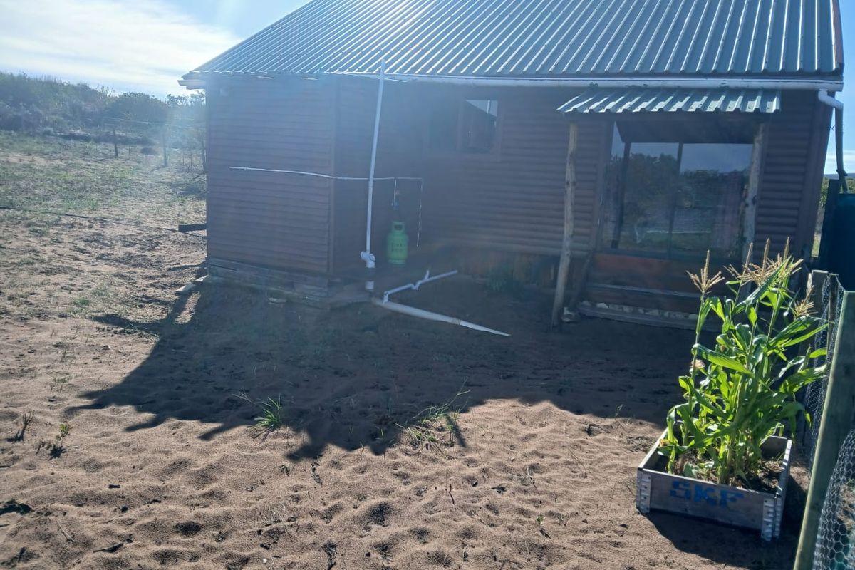 Rear view of a timber-clad cabin featuring exposed exterior plumbing and a corrugated metal roof, set on an unpaved sandy plot.