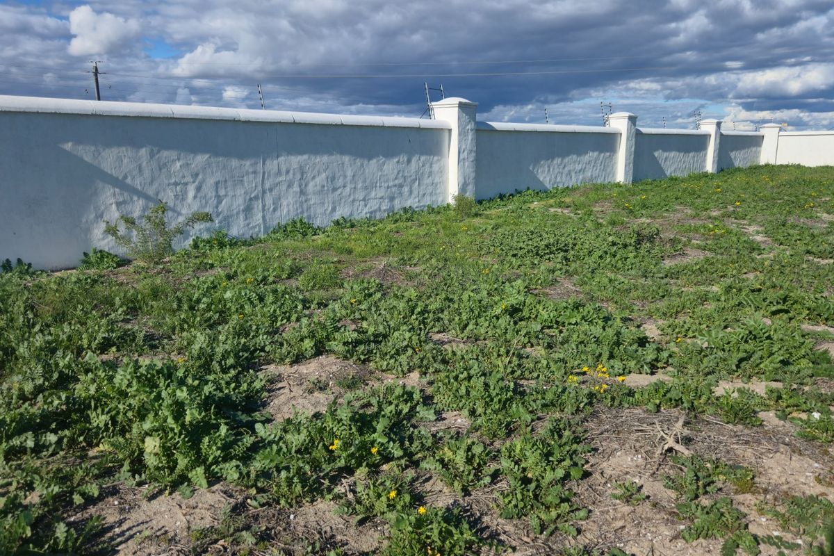 A vacant residential plot featuring a white perimeter wall with integrated electric fencing and natural ground cover.