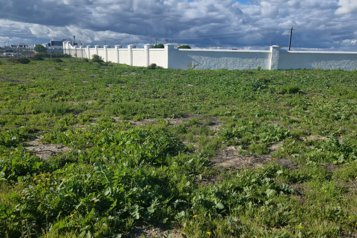 A vacant residential plot featuring natural vegetation and a secure perimeter boundary wall.