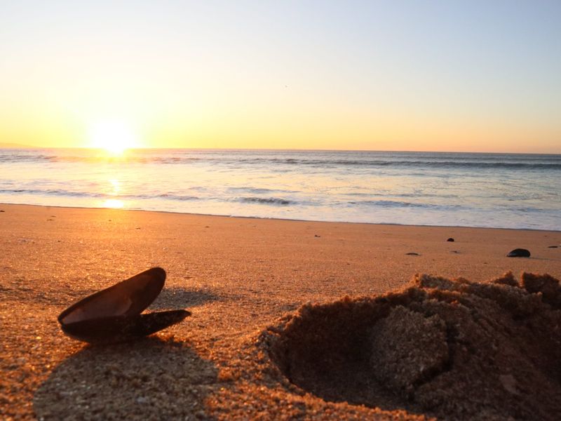 Stop choosing between ultimate security and effortless beach access! What if you could have both? - Photo 9