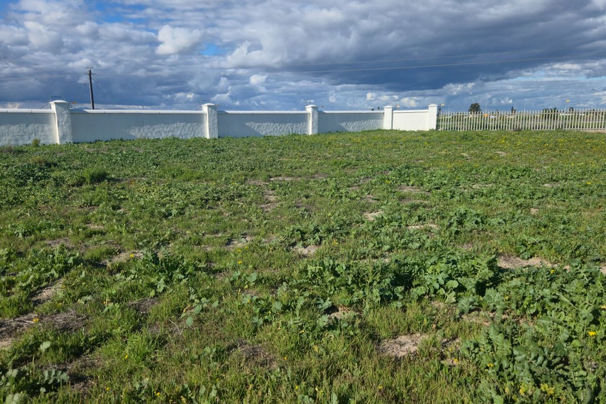 A vacant residential plot featuring a perimeter wall and metal fencing, ready for development.
