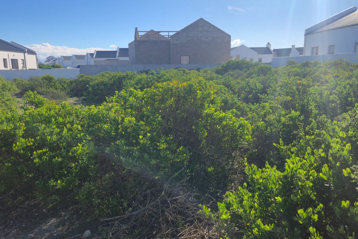 What if the secret to building your perfect coastal retreat lies right in the quiet, sheltered heart of the estate? - Photo 3