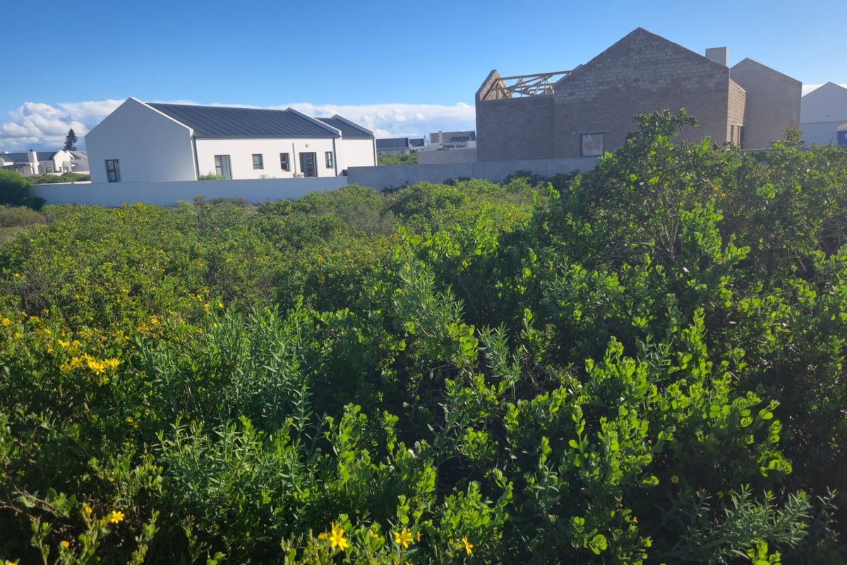What if the secret to building your perfect coastal retreat lies right in the quiet, sheltered heart of the estate? - Photo 2