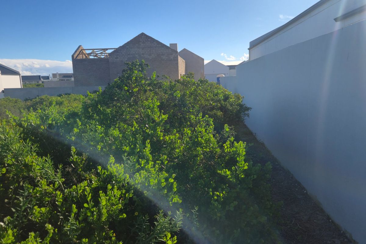 What if the secret to building your perfect coastal retreat lies right in the quiet, sheltered heart of the estate? - Photo 4