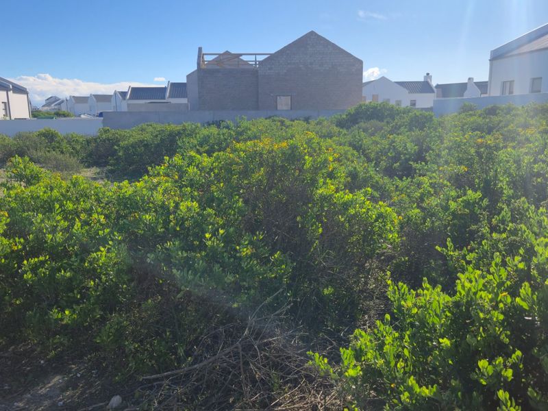What if the secret to building your perfect coastal retreat lies right in the quiet, sheltered heart of the estate? - Photo 3