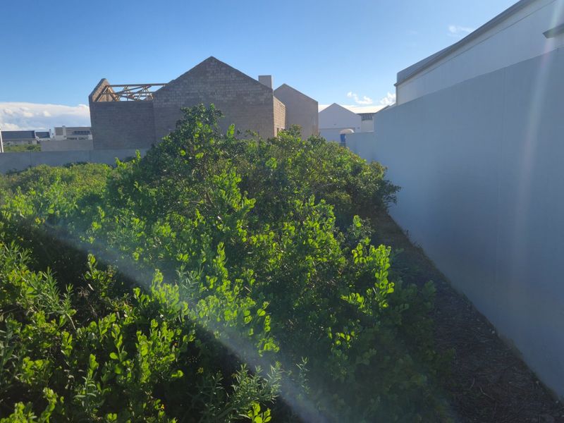 What if the secret to building your perfect coastal retreat lies right in the quiet, sheltered heart of the estate? - Photo 4