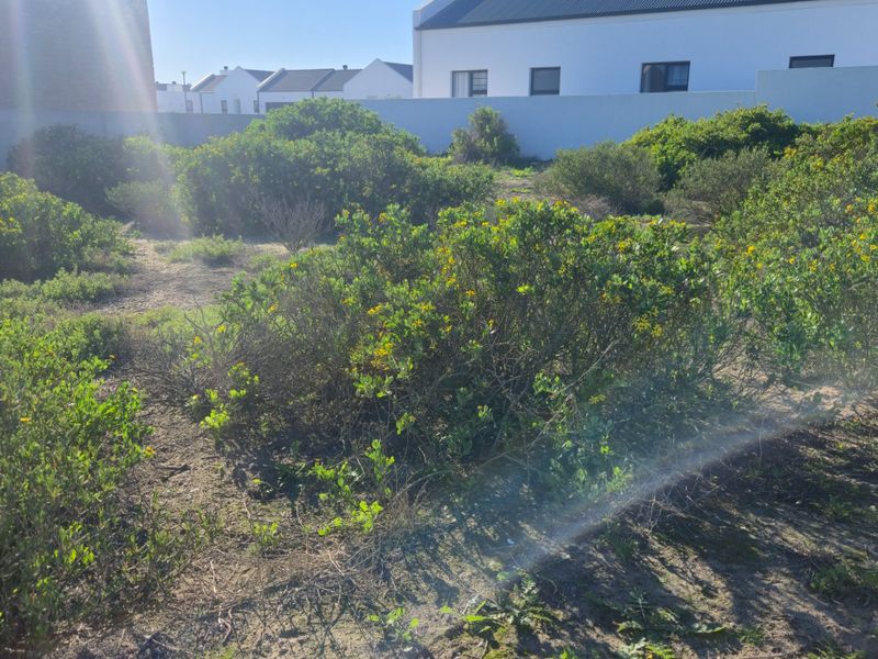 What if the secret to building your perfect coastal retreat lies right in the quiet, sheltered heart of the estate? - Photo 6