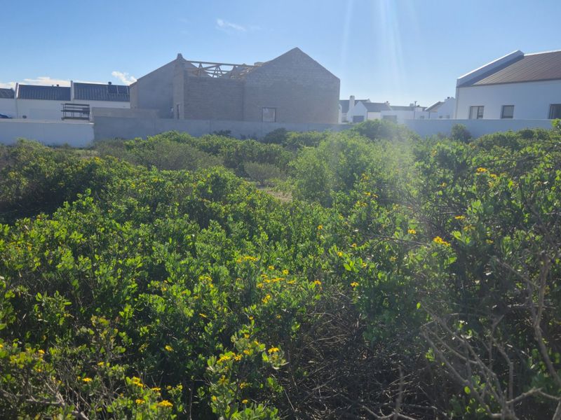 What if the secret to building your perfect coastal retreat lies right in the quiet, sheltered heart of the estate? - Photo 1