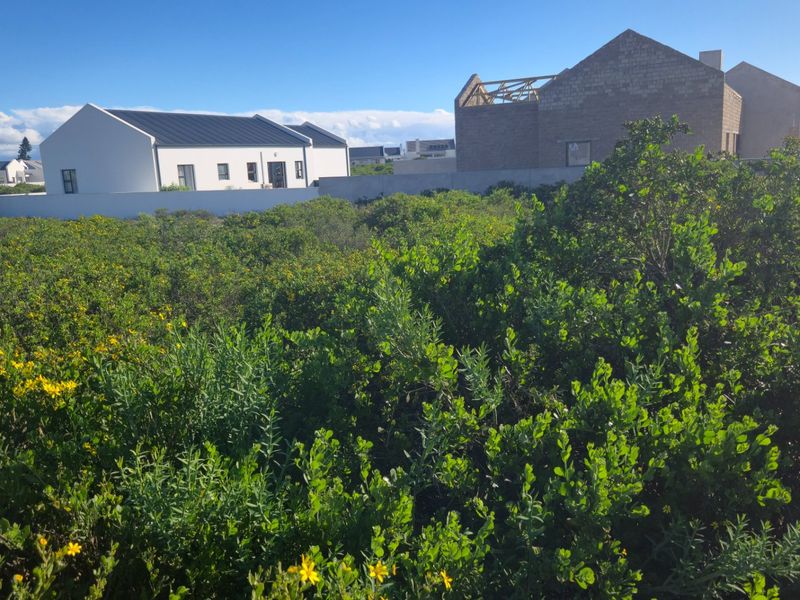 What if the secret to building your perfect coastal retreat lies right in the quiet, sheltered heart of the estate? - Photo 2