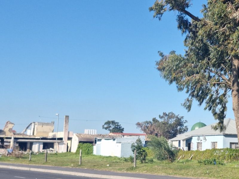 Street view of a residential plot featuring a mature tree and the remains of a demolished building structure.