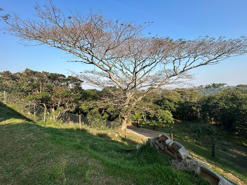 Exceptional 6 Bedroom Home with Magnificent Sea Views in Leisure Bay - Photo 10