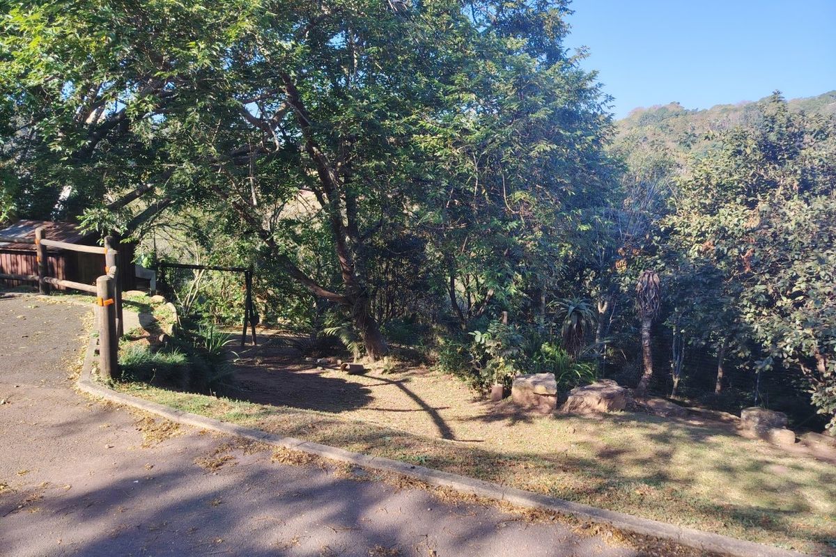 A natural, tree-lined garden area featuring mature vegetation, timber post fencing, and an adjacent asphalt driveway.