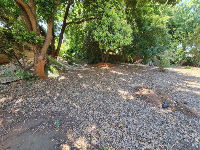 Stand For Sale - Photo 2