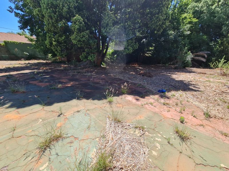 Stand For Sale - Photo 8