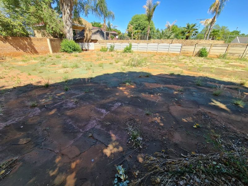 Stand For Sale - Photo 5