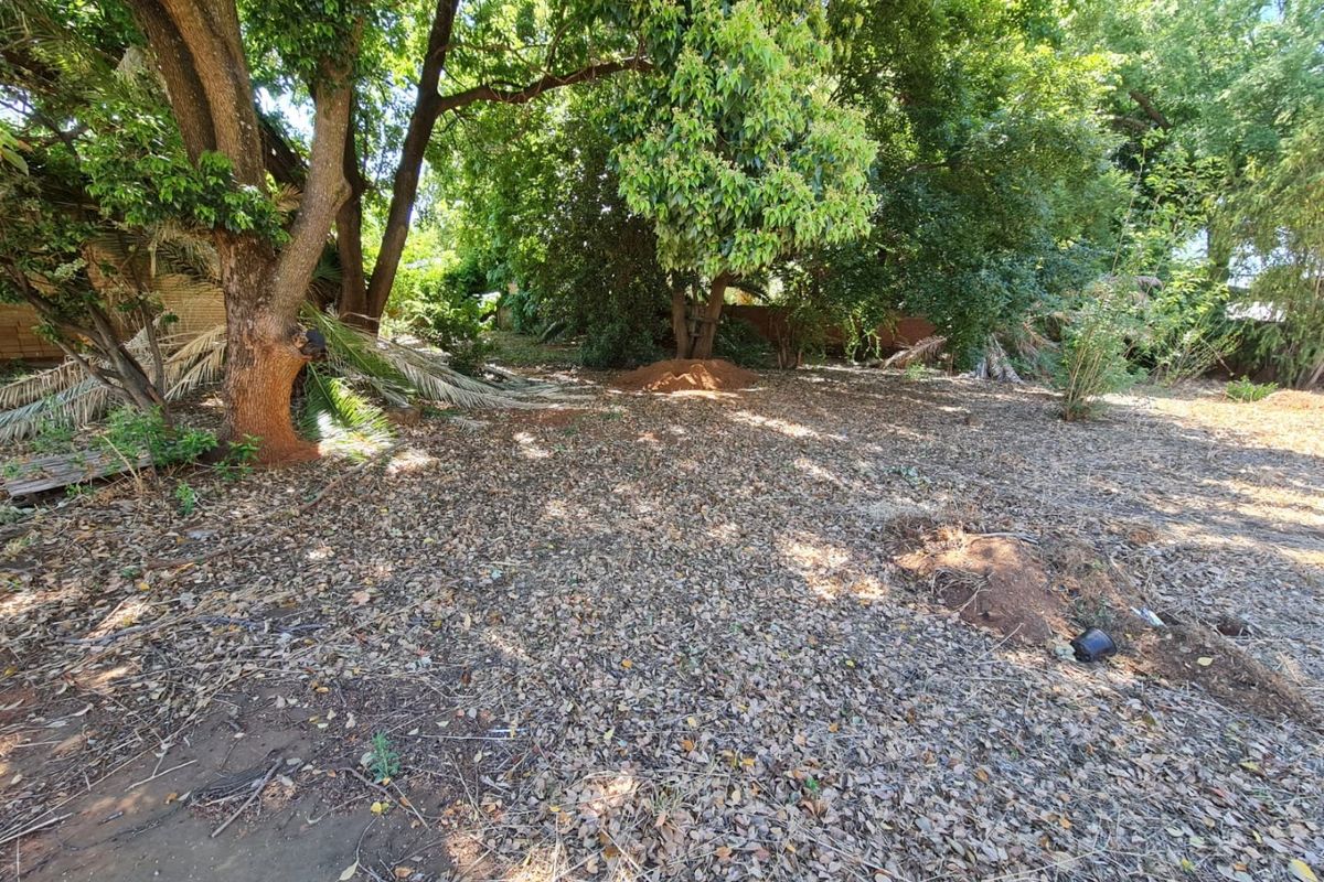 A large, undeveloped residential plot featuring mature trees and natural ground cover, offering a blank canvas for future landscaping or construction.