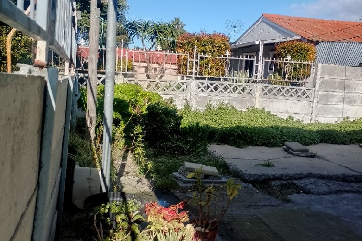 Rear outdoor area featuring a concrete patio, metal security fencing, and a boundary wall, offering potential for landscaping and outdoor improvement.