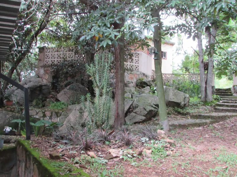A rustic garden area featuring natural rock landscaping, stone retaining walls, decorative breeze block fencing, and stone steps leading to the property.