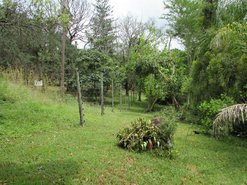 A view of the farm garden featuring established trees, lush greenery, and a wire boundary fence.