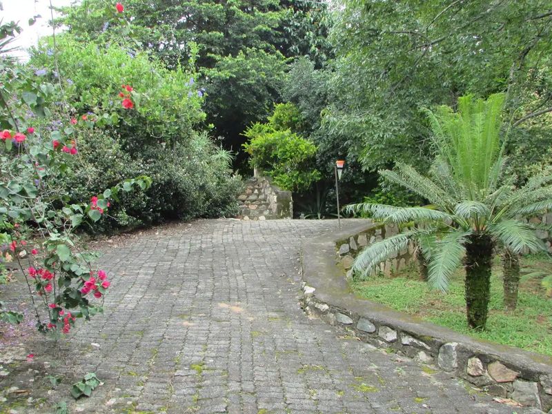 A lush, mature garden featuring a stone-paved pathway, stone retaining walls, and established trees and shrubs.