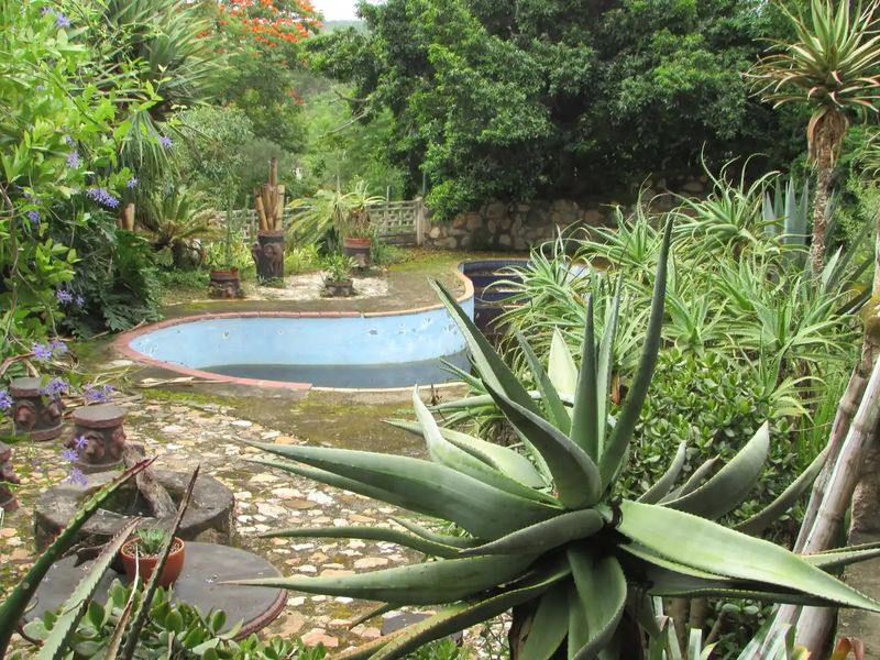 An outdoor pool area featuring a kidney-shaped swimming pool surrounded by stone paving and established garden landscaping.