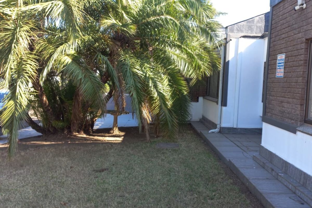A view of the rear exterior area featuring a brick facade, a paved walkway, and established palm trees in the garden.