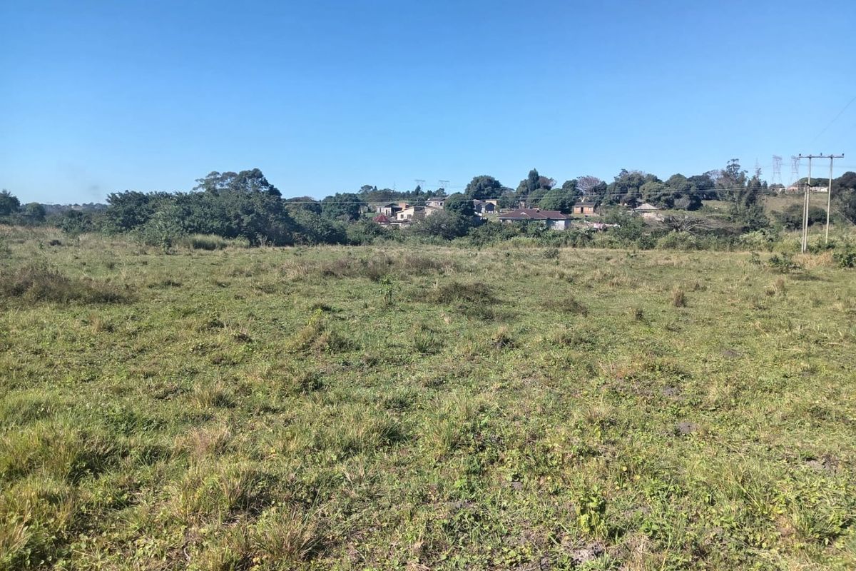 A wide-angle view of a vacant residential plot featuring open grassland with surrounding neighborhood vegetation and utility infrastructure in the distance.