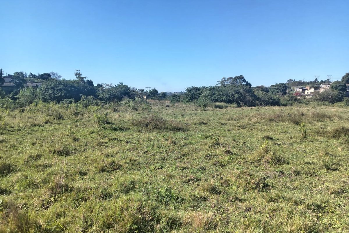 A wide-angle view of a vacant residential plot featuring natural grassland and surrounding mature vegetation.