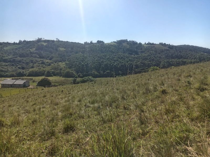 0 Bed Vacant Land in Ongoye, Empangeni Rural for Sale - Photo 8