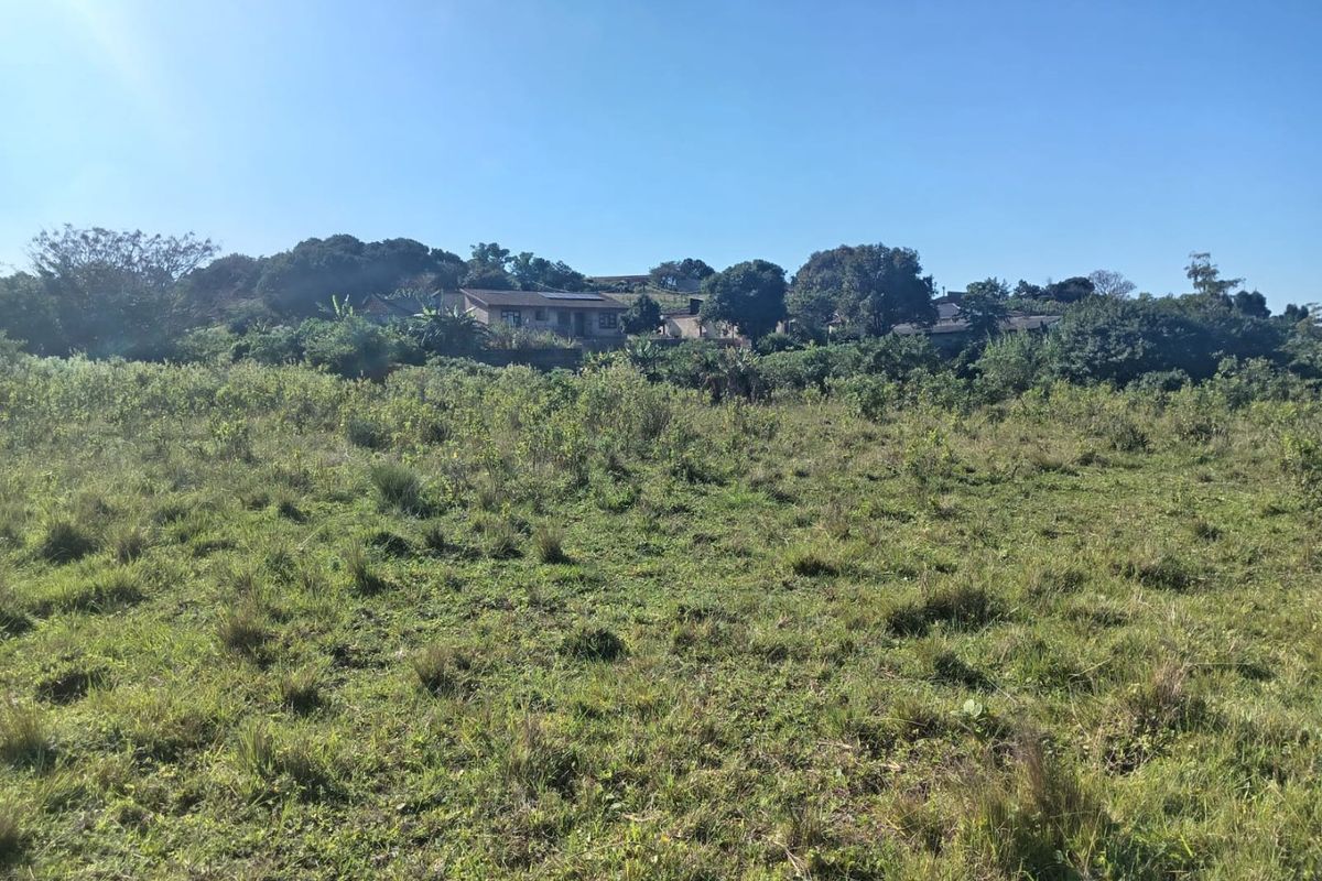 A view of a vacant residential plot featuring natural grass and vegetation with established neighborhood homes visible in the background.
