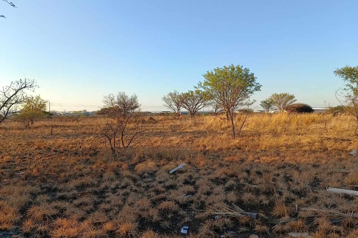 A view of a vacant residential plot featuring natural dry grass and scattered trees under a clear blue sky.