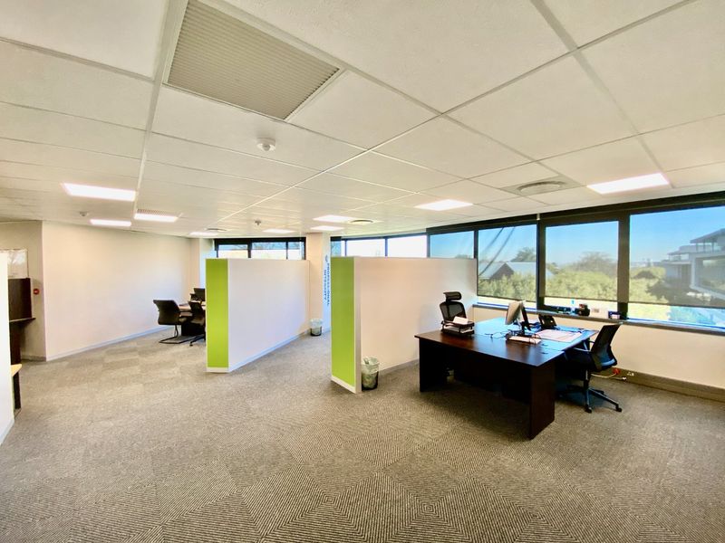 Open-plan commercial office space featuring carpeted flooring, suspended ceilings with recessed lighting, partition walls, and large windows providing natural light.