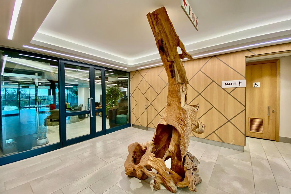 Modern commercial hallway featuring timber veneer wall paneling, recessed LED lighting, tiled flooring, and access to restroom facilities.