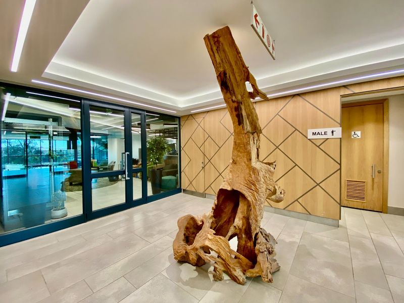Modern commercial hallway featuring timber veneer wall paneling, recessed LED lighting, tiled flooring, and access to restroom facilities.