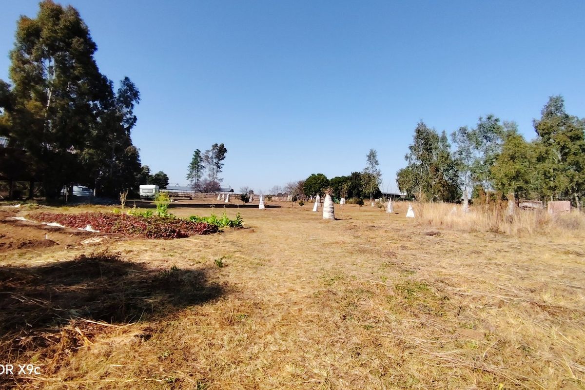 Prime 2.1-Hectare agricultural holding with a log home, borehole. - Photo 5