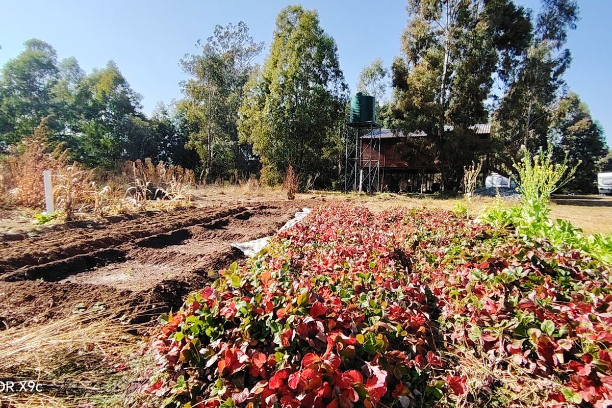 Prime 2.1-Hectare agricultural holding with a log home, borehole. - Photo 2