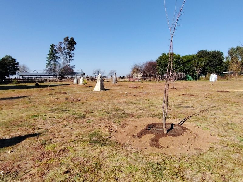 Prime 2.1-Hectare agricultural holding with a log home, borehole. - Photo 7