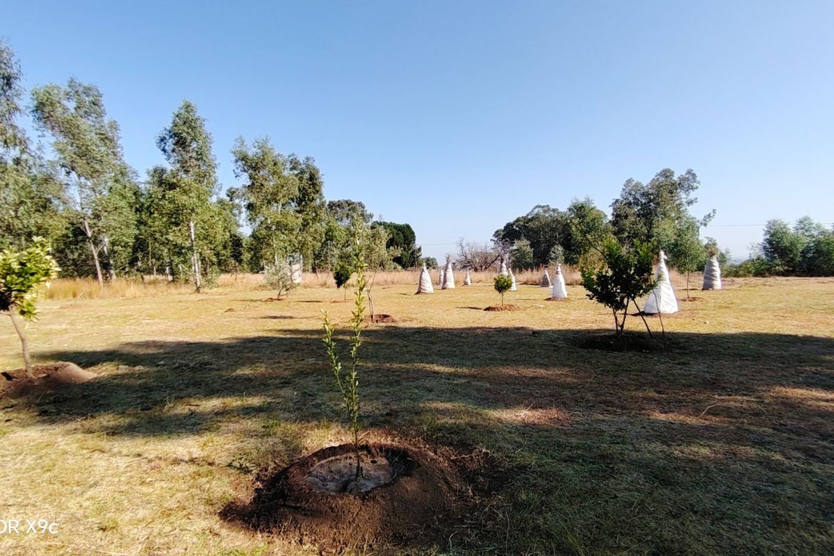 Prime 2.1-Hectare agricultural holding with a log home, borehole. - Photo 4