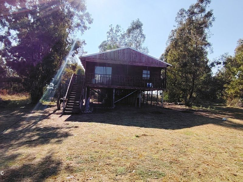 Prime 2.1-Hectare agricultural holding with a log home, borehole. - Photo 6