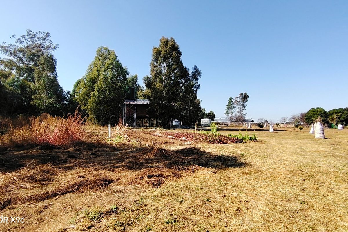 Prime 2.1-Hectare agricultural holding with a log home, borehole. - Photo 3