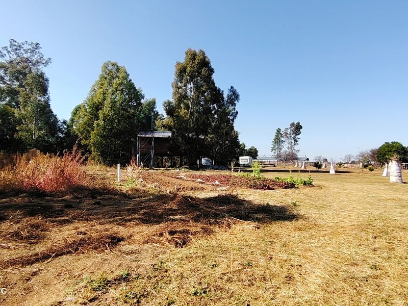 Prime 2.1-Hectare agricultural holding with a log home, borehole. - Photo 3