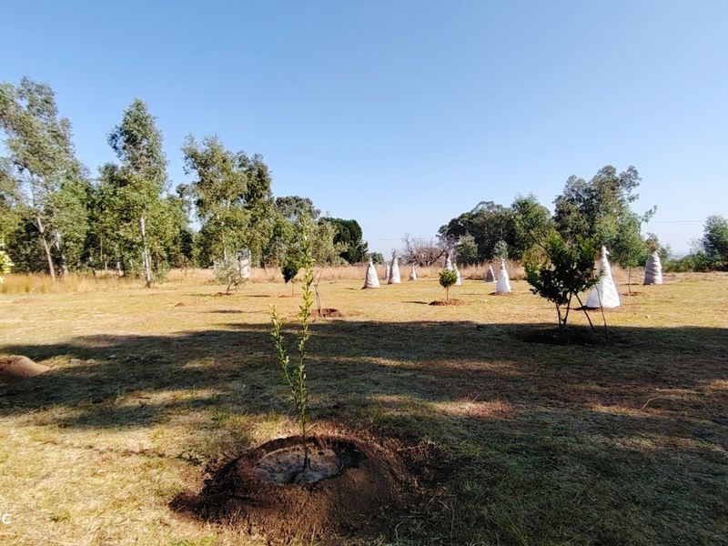 Prime 2.1-Hectare agricultural holding with a log home, borehole. - Photo 4