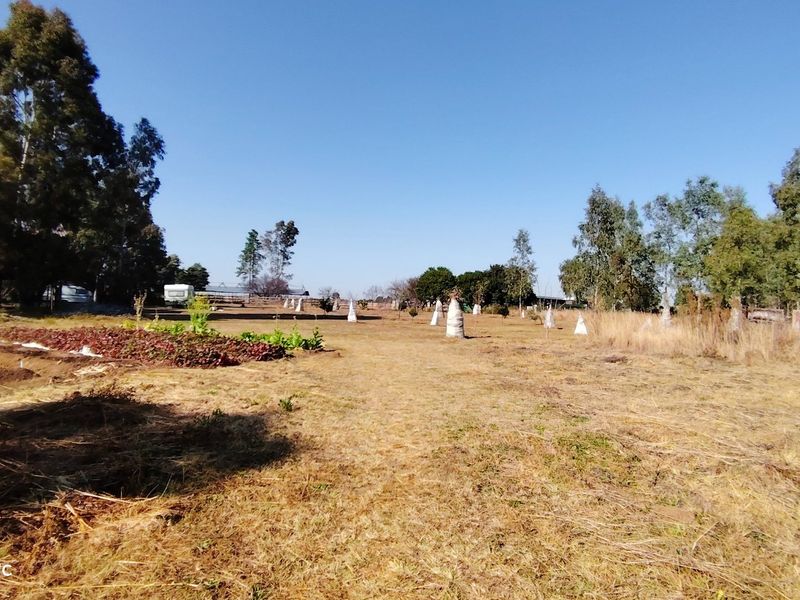 Prime 2.1-Hectare agricultural holding with a log home, borehole. - Photo 5